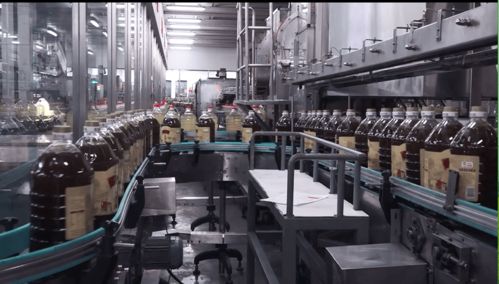 云賞金龍魚蝦田稻，共憶香韻外婆情